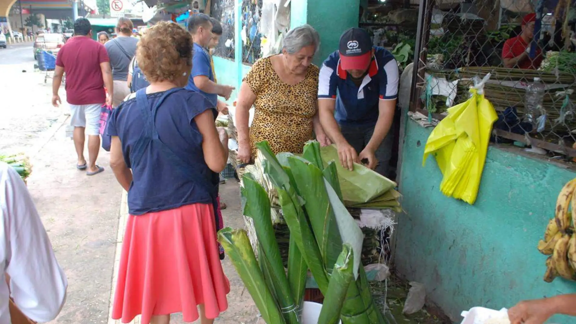 Tamal8 copia